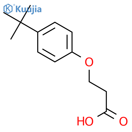 3-(4-tert-Butylphenoxy)propanoic acid structure