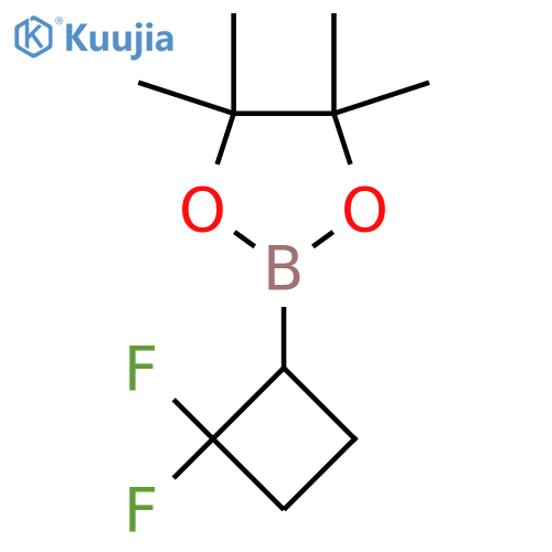 2-(2,2-Difluorocyclobutyl)-4,4,5,5-tetramethyl-1,3,2-dioxaborolane structure