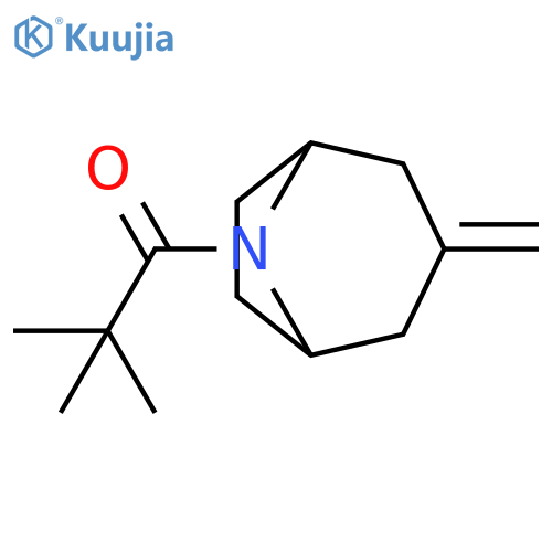 2,2-dimethyl-1-{3-methylidene-8-azabicyclo3.2.1octan-8-yl}propan-1-one structure
