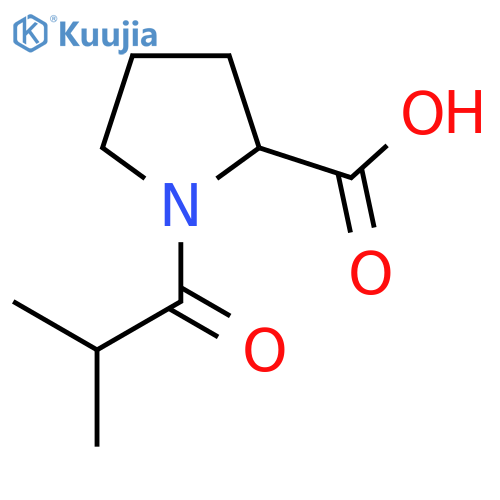 1-Isobutyrylproline structure