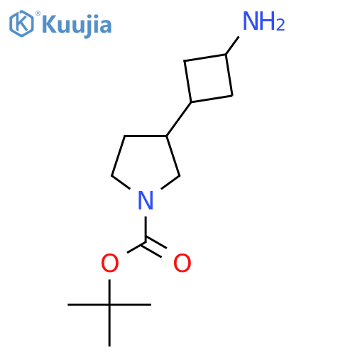 Tert-butyl 3-(3-aminocyclobutyl)pyrrolidine-1-carboxylate structure