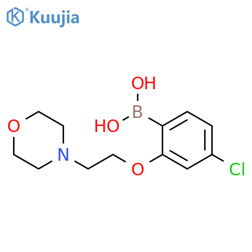 {4-Chloro-2-[2-(morpholin-4-yl)ethoxy]phenyl}boronic acid structure