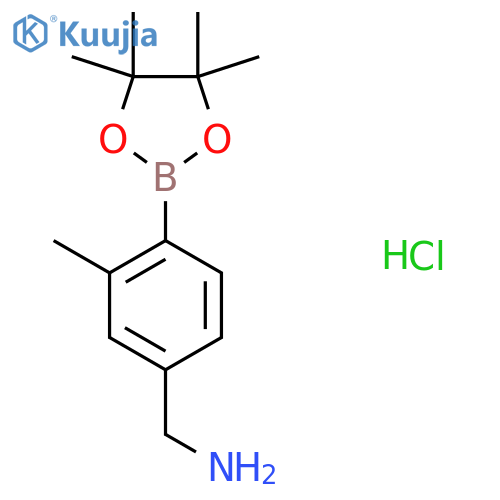 [3-Methyl-4-(tetramethyl-1,3,2-dioxaborolan-2-yl)phenyl]methanamine hydrochloride structure