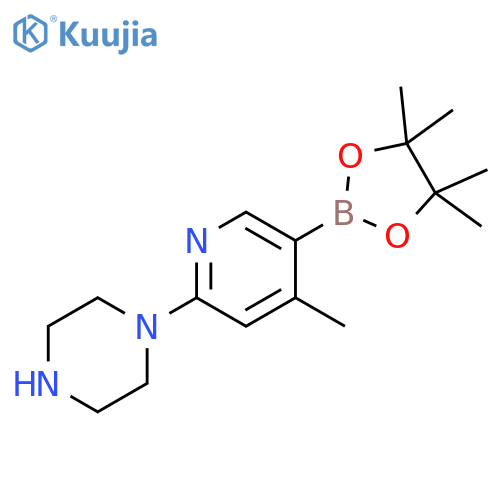 1-[4-methyl-5-(tetramethyl-1,3,2-dioxaborolan-2-yl)pyridin-2-yl]piperazine structure
