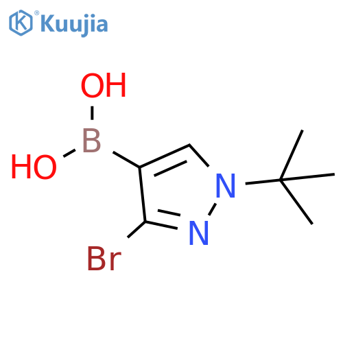 3-Bromo-1-tert-butylpyrazole-4-boronic acid structure