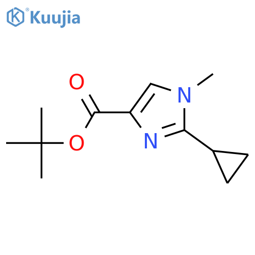 tert-butyl 2-cyclopropyl-1-methyl-1H-imidazole-4-carboxylate structure