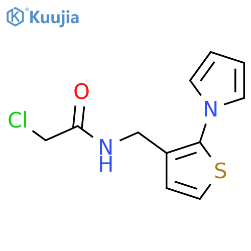 2-Chloro-N-[(2-pyrrol-1-ylthiophen-3-yl)methyl]acetamide structure