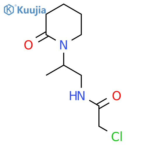 2-chloro-N-2-(2-oxopiperidin-1-yl)propylacetamide structure