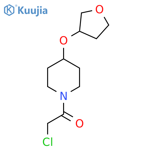 2-chloro-1-4-(oxolan-3-yloxy)piperidin-1-ylethan-1-one structure