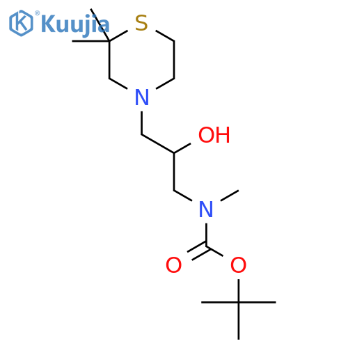 tert-butyl N-3-(2,2-dimethylthiomorpholin-4-yl)-2-hydroxypropyl-N-methylcarbamate structure