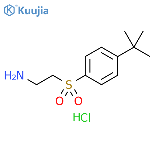 2-(4-tert-butylbenzenesulfonyl)ethan-1-amine hydrochloride structure