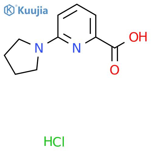6-(pyrrolidin-1-yl)pyridine-2-carboxylic acid hydrochloride structure