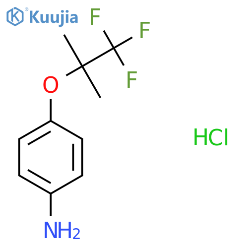 4-(1,1,1-trifluoro-2-methylpropan-2-yl)oxyaniline hydrochloride structure