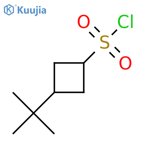 (1s,3s)-3-tert-butylcyclobutane-1-sulfonyl chloride, cis structure
