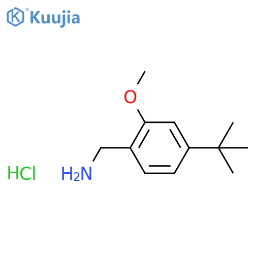 1-(4-tert-butyl-2-methoxyphenyl)methanamine hydrochloride structure
