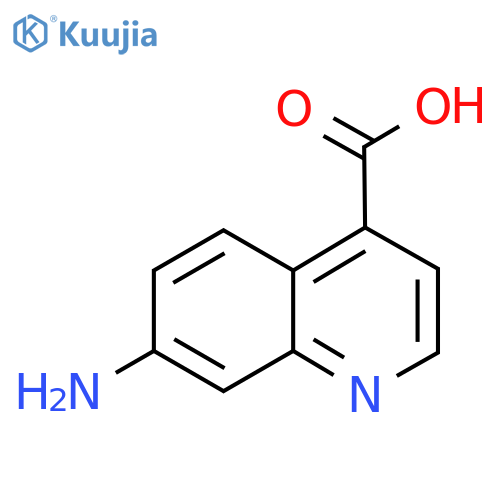 7-Aminoquinoline-4-carboxylic acid structure