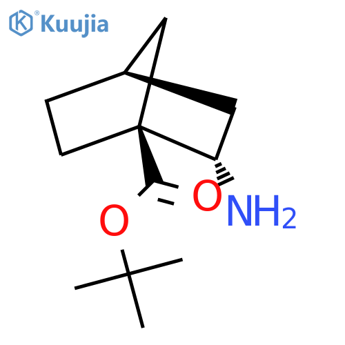 rac-tert-butyl (1R,2R,4R)-2-aminobicyclo[2.2.1]heptane-1-carboxylate structure
