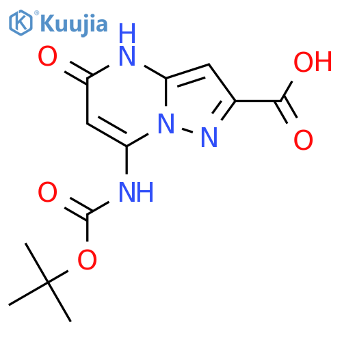 7-{(tert-butoxy)carbonylamino}-5-hydroxypyrazolo1,5-apyrimidine-2-carboxylic acid structure