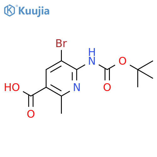5-bromo-6-{(tert-butoxy)carbonylamino}-2-methylpyridine-3-carboxylic acid structure