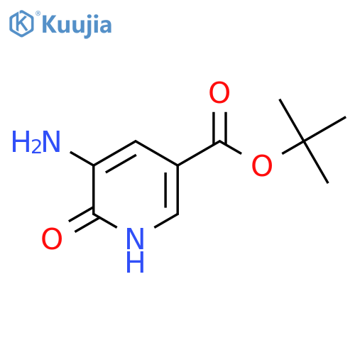 Tert-butyl 5-amino-6-oxo-1,6-dihydropyridine-3-carboxylate structure