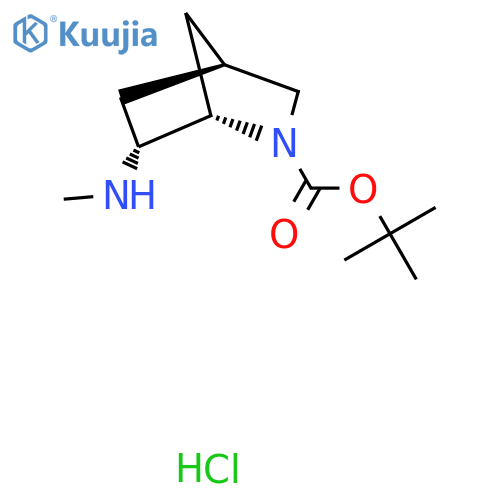 rac-tert-butyl (1R,4R,6S)-6-(methylamino)-2-azabicyclo2.2.1heptane-2-carboxylate hydrochloride, endo structure
