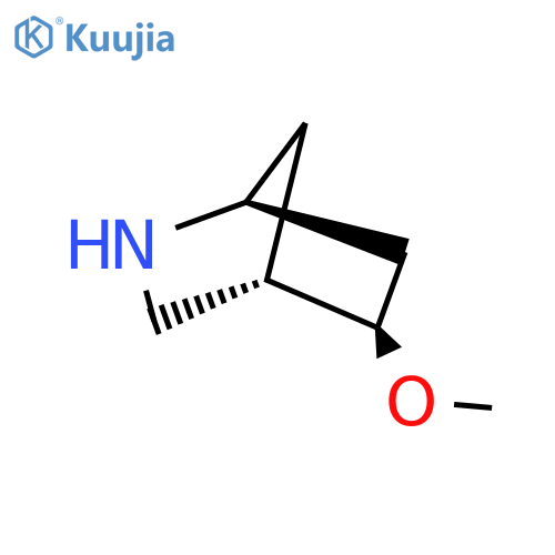 rac-(1R,4R,5S)-5-methoxy-2-azabicyclo2.2.1heptane structure