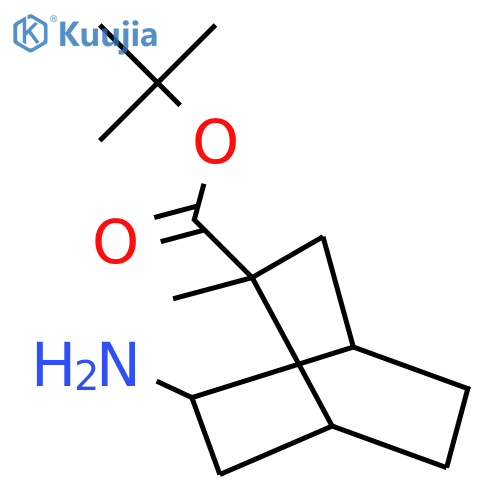 tert-butyl 5-amino-2-methylbicyclo2.2.2octane-2-carboxylate structure