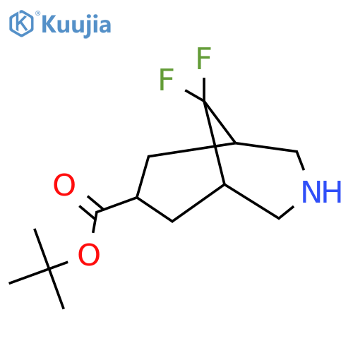 tert-butyl 9,9-difluoro-3-azabicyclo3.3.1nonane-7-carboxylate structure