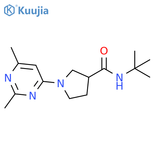 N-tert-butyl-1-(2,6-dimethylpyrimidin-4-yl)pyrrolidine-3-carboxamide structure