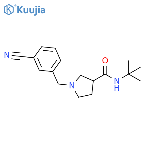 N-tert-butyl-1-[(3-cyanophenyl)methyl]pyrrolidine-3-carboxamide structure