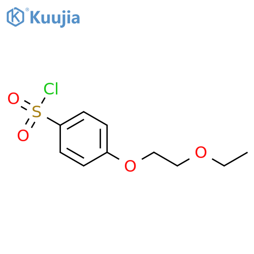 4-(2-ethoxyethoxy)benzene-1-sulfonyl chloride structure