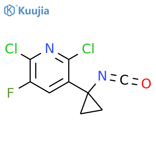 2,6-dichloro-3-fluoro-5-(1-isocyanatocyclopropyl)pyridine structure