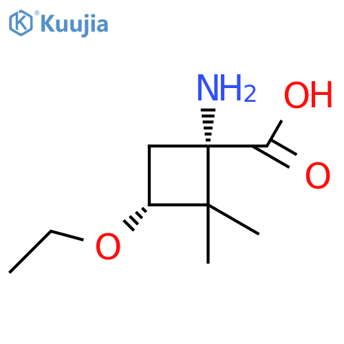 rac-(1R,3S)-1-amino-3-ethoxy-2,2-dimethylcyclobutane-1-carboxylic acid structure