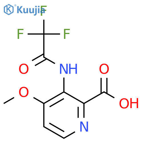 4-Methoxy-3-(2,2,2-trifluoroacetamido)pyridine-2-carboxylic acid structure