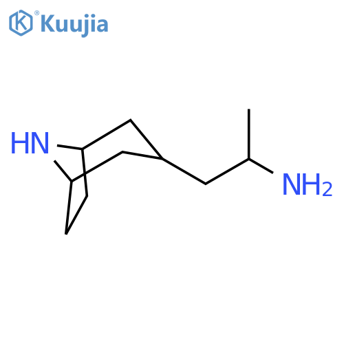 1-{8-azabicyclo3.2.1octan-3-yl}propan-2-amine structure