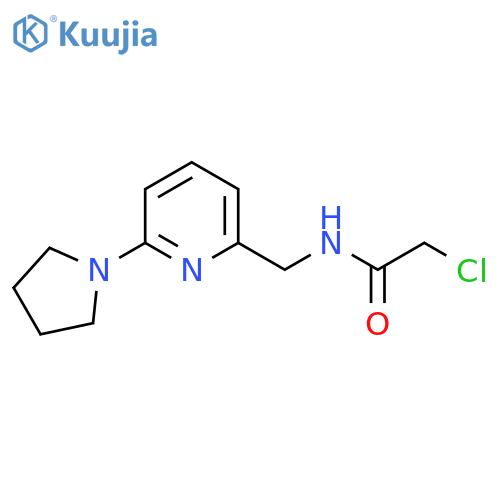 2-chloro-N-{6-(pyrrolidin-1-yl)pyridin-2-ylmethyl}acetamide structure
