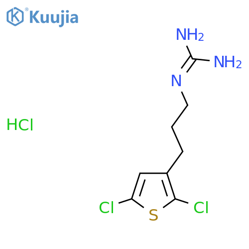 N''-3-(2,5-dichlorothiophen-3-yl)propylguanidine hydrochloride structure