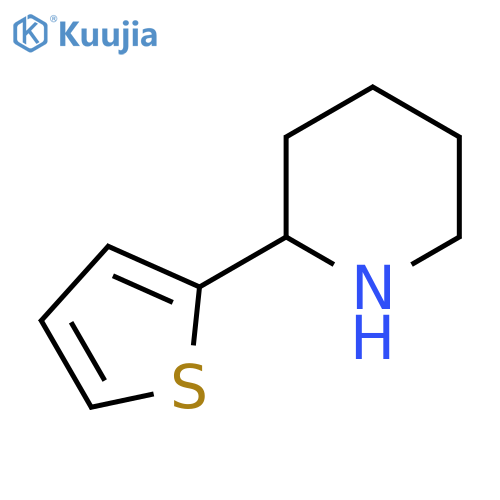 2-(2-Thienyl)piperidine structure