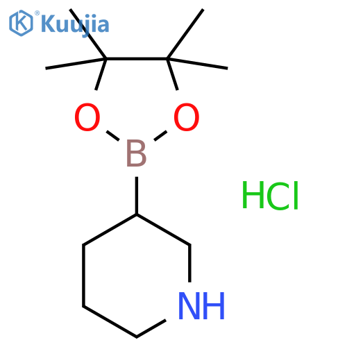 Piperidine-3-boronic acid pinacol ester hydrochloride structure