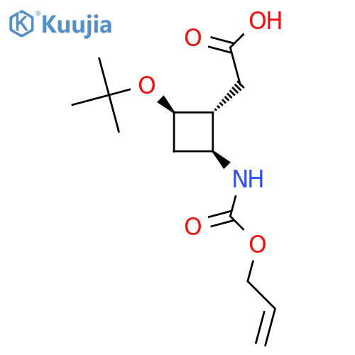 2-(1R,2R,4S)-2-(tert-butoxy)-4-{(prop-2-en-1-yloxy)carbonylamino}cyclobutylacetic acid structure
