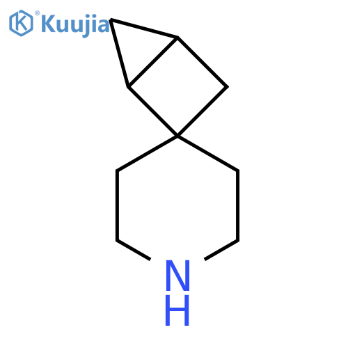 Spiro[bicyclo[2.1.0]pentane-2,4'-piperidine] structure