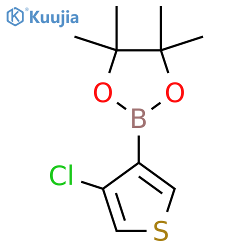 2-(4-Chlorothiophen-3-yl)-4,4,5,5-tetramethyl-1,3,2-dioxaborolane structure
