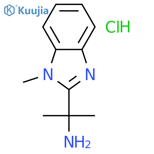2-(1-methyl-1H-1,3-benzodiazol-2-yl)propan-2-amine dihydrochloride structure