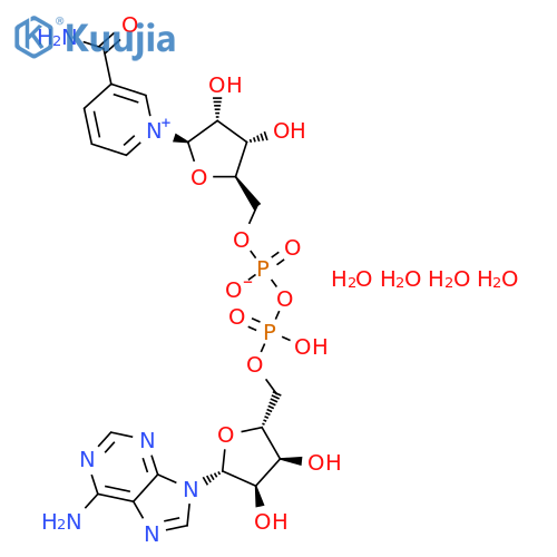 beta-nicotinamide adenine dinucleotide tetrahydrate structure