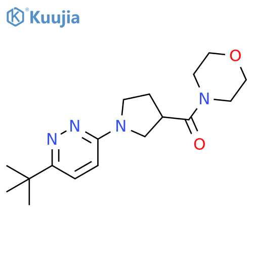 4-[1-(6-tert-butylpyridazin-3-yl)pyrrolidine-3-carbonyl]morpholine structure