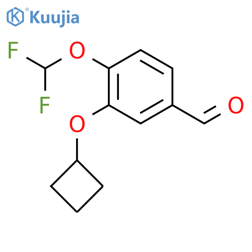 3-Cyclobutoxy-4-(difluoromethoxy)benzaldehyde structure