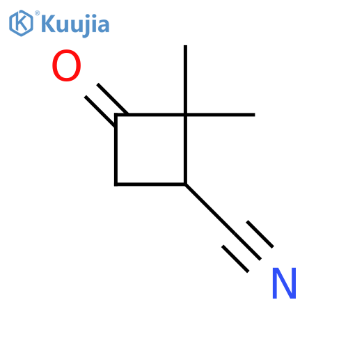 2,2-Dimethyl-3-oxocyclobutane-1-carbonitrile structure