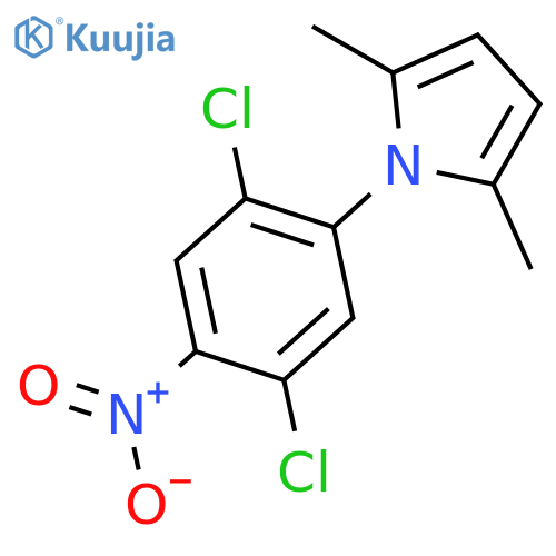 1H-Pyrrole,1-(2,5-dichloro-4-nitrophenyl)-2,5-dimethyl- structure