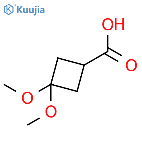 3,3-dimethoxycyclobutane-1-carboxylic acid structure