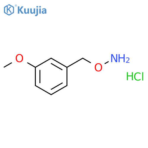 1-(aminooxy)methyl-3-methoxybenzene hydrochloride structure